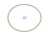 DT Spare Parts - O-ring - 3.10174 - 2 Pack