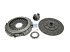 DT Spare Parts - Clutch kit - 1.31396