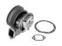 DT Spare Parts - Water pump - 6.30015