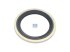 DT Spare Parts - Gasket - 2.15049 - 2 Pack