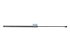 DT Spare Parts - Gas spring - 3.80713