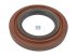 DT Spare Parts - Oil seal - 3.60131