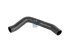 DT Spare Parts - Radiator hose - 3.16472