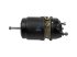 DT Spare Parts - Spring brake cylinder - 3.74034