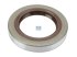 DT Spare Parts - Oil seal - 2.32986