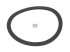 DT Spare Parts - Seal ring - 2.11481