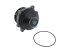 DT Spare Parts - Water pump - 7.60011