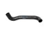 DT Spare Parts - Radiator hose - 4.81048