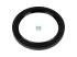 DT Spare Parts - Oil seal - 4.20604