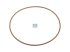 DT Spare Parts - O-ring - 7.50519 - 5 Pack