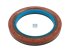 DT Spare Parts - Oil seal - 7.50558