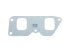 DT Spare Parts - Gasket - 7.51804