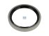 DT Spare Parts - Oil seal - 4.20618