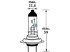 DT Spare Parts - Bulb - 9.78108