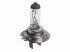 DT Spare Parts - Bulb - 9.78105