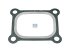 DT Spare Parts - Gasket - 1.10968 - 10 Pack