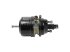 DT Spare Parts - Spring brake cylinder - 3.74066