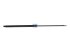 DT Spare Parts - Gas spring - 7.71206