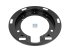 DT Spare Parts - Brake shield - 7.34275