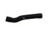 DT Spare Parts - Radiator hose - 1.11671