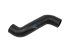 DT Spare Parts - Radiator hose - 4.81309