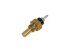 DT Spare Parts - Temperature sensor - 4.66945