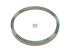 DT Spare Parts - ABS ring - 7.38232