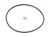 DT Spare Parts - Seal ring - 4.20707