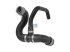 DT Spare Parts - Radiator hose - 4.81337