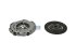 DT Spare Parts - Clutch kit - 11.91701