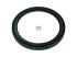 DT Spare Parts - Oil seal - 6.20513