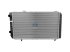 DT Spare Parts - Radiator - 12.17006