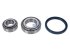 DT Spare Parts - Wheel bearing kit - 5.20193