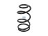 DT Spare Parts - Coil spring - 13.17103