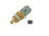 DT Spare Parts - Temperature sensor - 13.43125