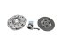 DT Spare Parts - Clutch kit - 13.56052