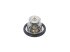 DT Spare Parts - Thermostat - 13.42075