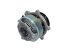 DT Spare Parts - Water pump - 5.41145