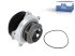 DT Spare Parts - Water pump - 5.41146