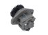 DT Spare Parts - Feed pump - 6.33009