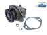 DT Spare Parts - Feed pump - 6.33009