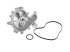 DT Spare Parts - Water pump - 13.42050SP