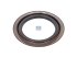 DT Spare Parts - Oil seal - 3.67527