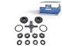 DT Spare Parts - Differential kit - 1.31648