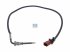 DT Spare Parts - Exhaust gas temperature sensor - 11.80699