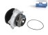 DT Spare Parts - Water pump - 5.41077