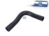 DT Spare Parts - Radiator hose - 2.15998