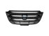 DT Spare Parts - Front grill - 5.16242