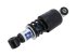 DT Spare Parts - Cabin shock absorber - 3.83039