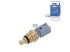 DT Spare Parts - Temperature sensor - 13.43128